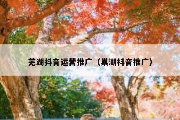 芜湖抖音运营推广（巢湖抖音推广）