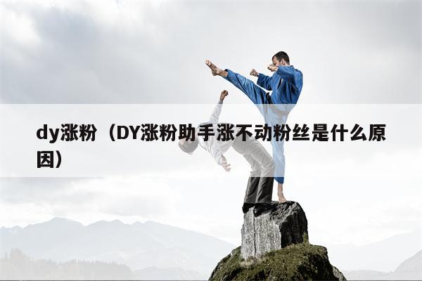 dy涨粉（DY涨粉助手涨不动粉丝是什么原因）