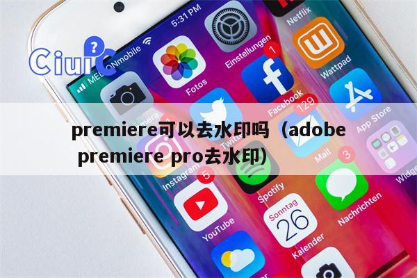 premiere可以去水印吗（adobe premiere pro去水印）