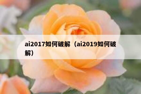 ai2017如何破解（ai2019如何破解）