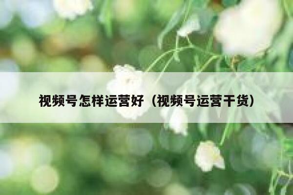 视频号怎样运营好（视频号运营干货）