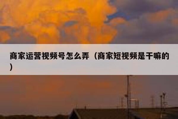 商家运营视频号怎么弄（商家短视频是干嘛的）