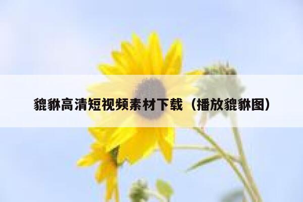 貔貅高清短视频素材下载（播放貔貅图）