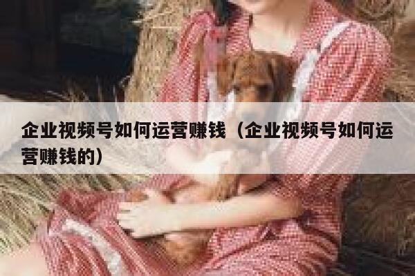 企业视频号如何运营赚钱（企业视频号如何运营赚钱的）