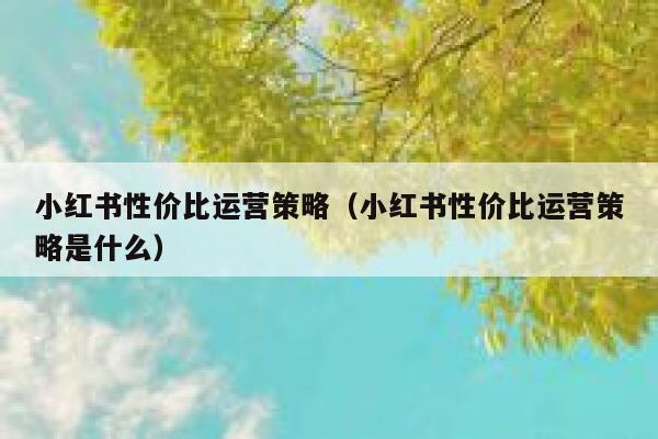 小红书性价比运营策略（小红书性价比运营策略是什么）