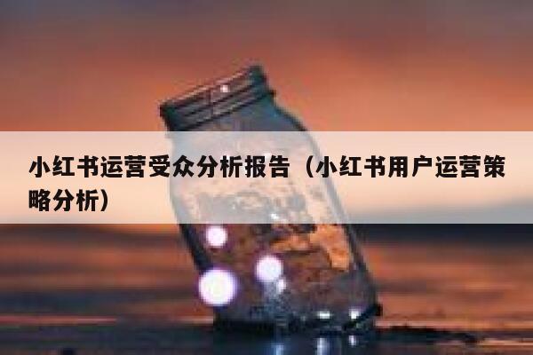 小红书运营受众分析报告（小红书用户运营策略分析）