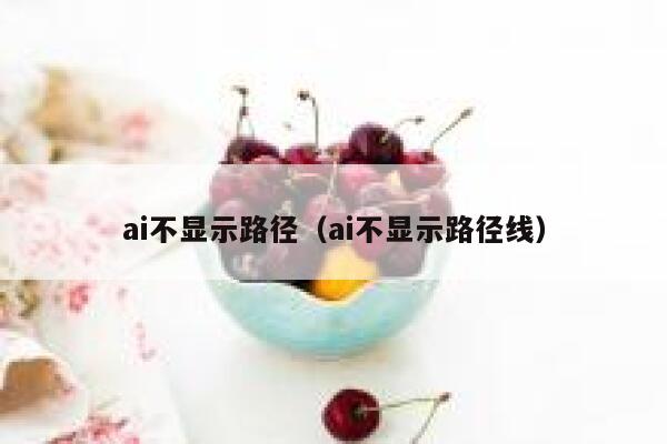 ai不显示路径（ai不显示路径线）