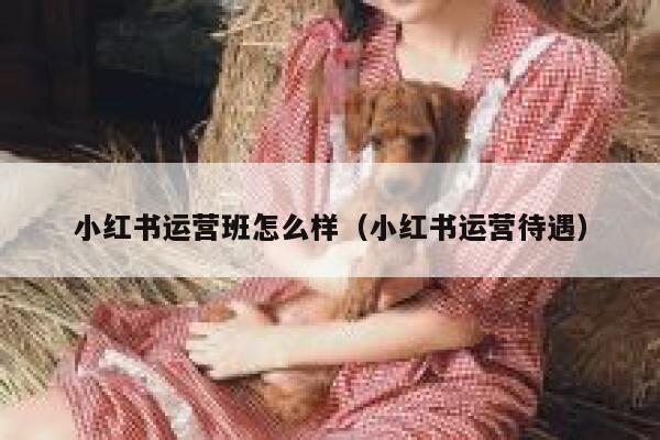 小红书运营班怎么样（小红书运营待遇）