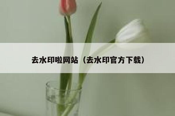 去水印啦网站（去水印官方下载）