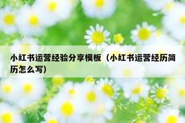 小红书运营经验分享模板（小红书运营经历简历怎么写）