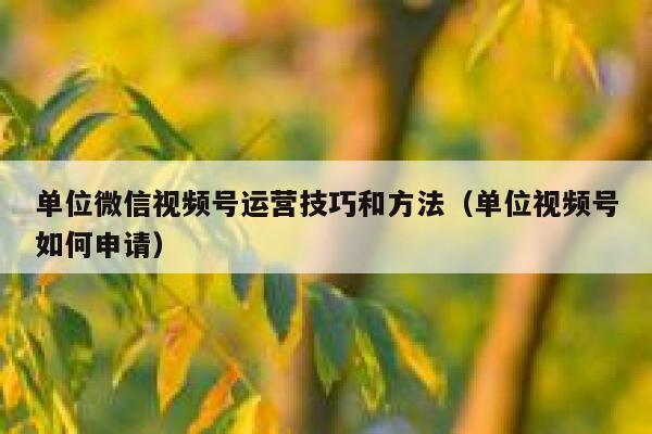 单位微信视频号运营技巧和方法（单位视频号如何申请）