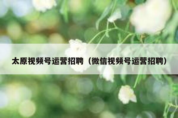 太原视频号运营招聘（微信视频号运营招聘）