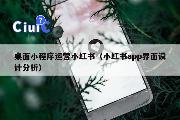 桌面小程序运营小红书（小红书app界面设计分析）