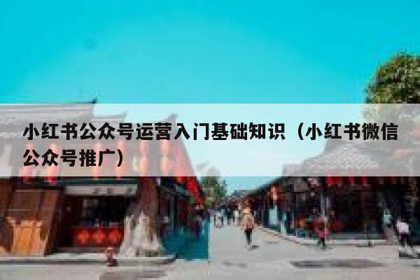 小红书公众号运营入门基础知识（小红书微信公众号推广）