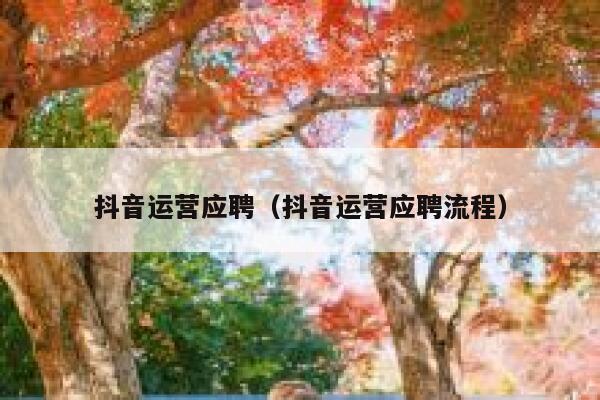 抖音运营应聘（抖音运营应聘流程）