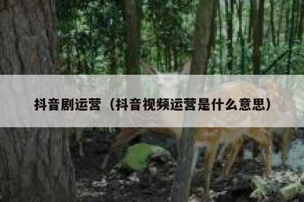 抖音剧运营（抖音视频运营是什么意思）