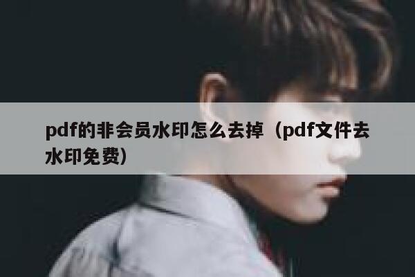 pdf的非会员水印怎么去掉（pdf文件去水印免费）