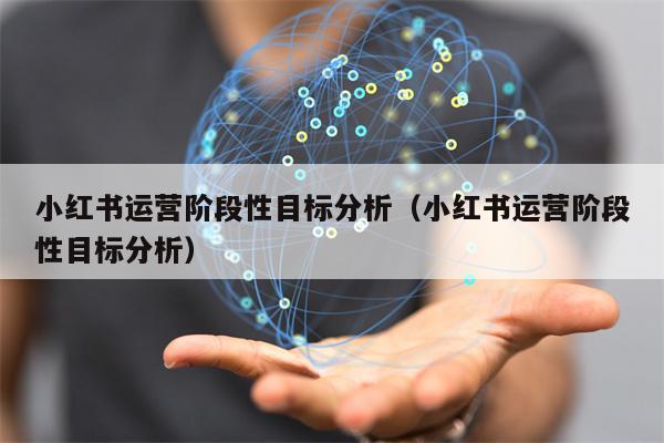 小红书运营阶段性目标分析（小红书运营阶段性目标分析）