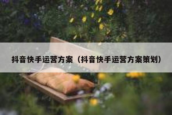 抖音快手运营方案（抖音快手运营方案策划）