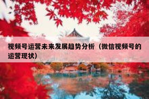 视频号运营未来发展趋势分析（微信视频号的运营现状）