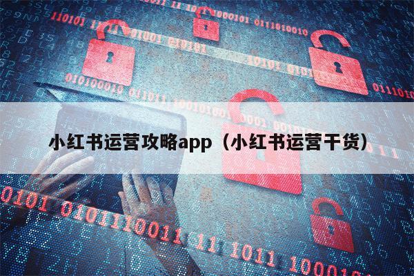 小红书运营攻略app（小红书运营干货）