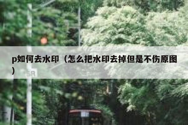 p如何去水印（怎么把水印去掉但是不伤原图）