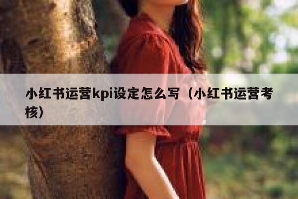 小红书运营kpi设定怎么写（小红书运营考核）