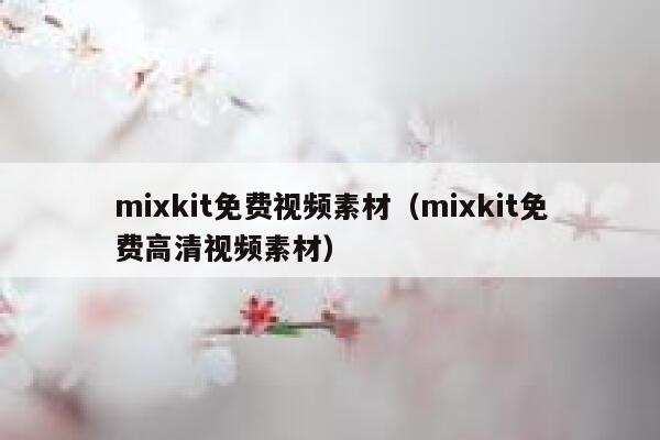 mixkit免费视频素材（mixkit免费高清视频素材）