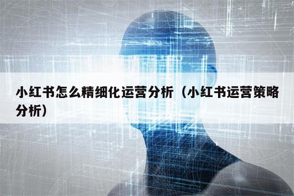 小红书怎么精细化运营分析（小红书运营策略分析）