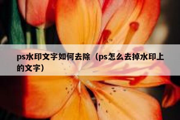 ps水印文字如何去除（ps怎么去掉水印上的文字）