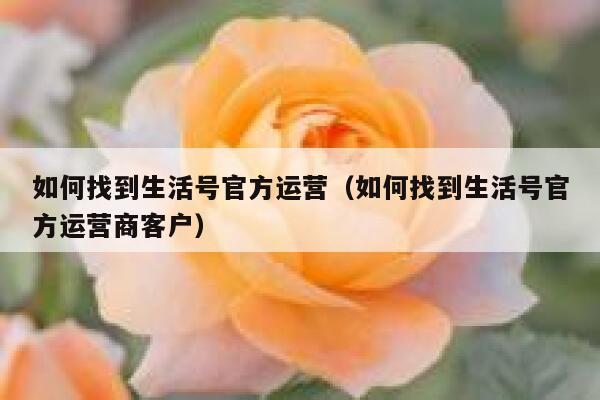 如何找到生活号官方运营（如何找到生活号官方运营商客户）