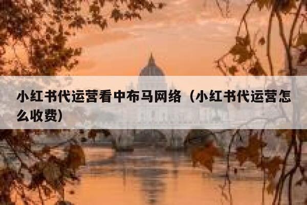 小红书代运营看中布马网络（小红书代运营怎么收费）