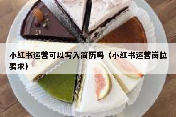 小红书运营可以写入简历吗（小红书运营岗位要求）