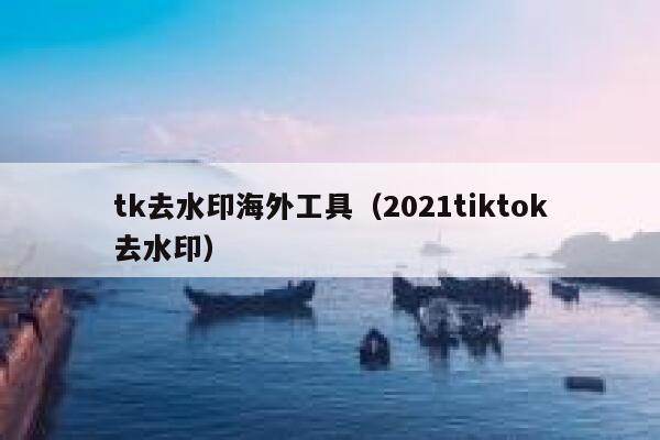 tk去水印海外工具（2021tiktok去水印）