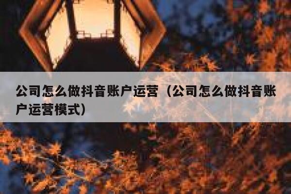 公司怎么做抖音账户运营（公司怎么做抖音账户运营模式）