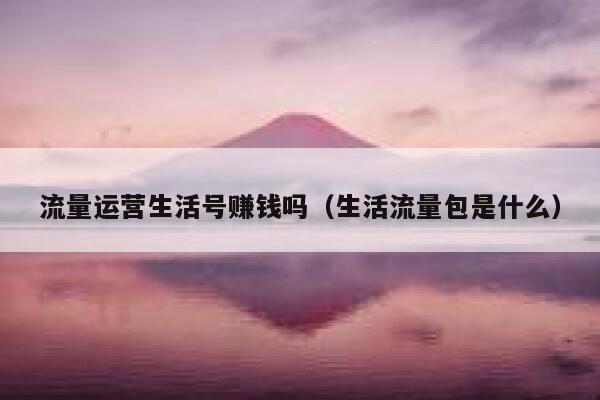 流量运营生活号赚钱吗（生活流量包是什么）