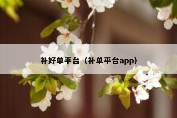 补好单平台（补单平台app）