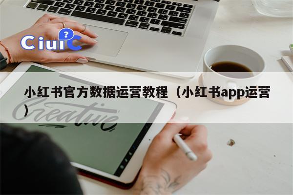 小红书官方数据运营教程（小红书app运营）