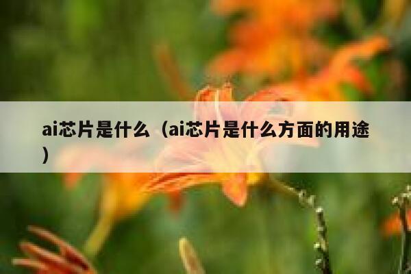 ai芯片是什么（ai芯片是什么方面的用途）