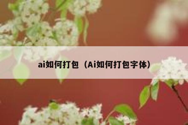 ai如何打包（Ai如何打包字体）