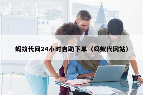 蚂蚁代网24小时自助下单（蚂蚁代网站）