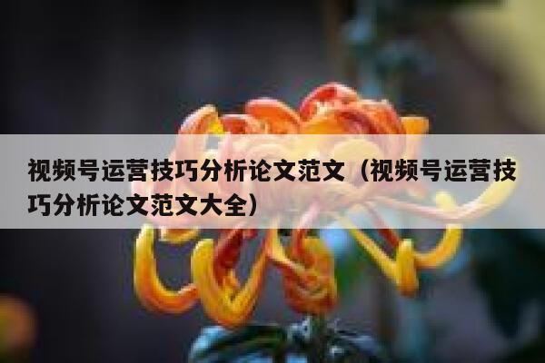 视频号运营技巧分析论文范文（视频号运营技巧分析论文范文大全）