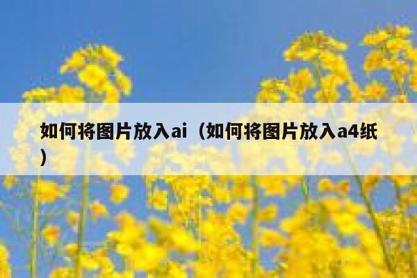 如何将图片放入ai（如何将图片放入a4纸）