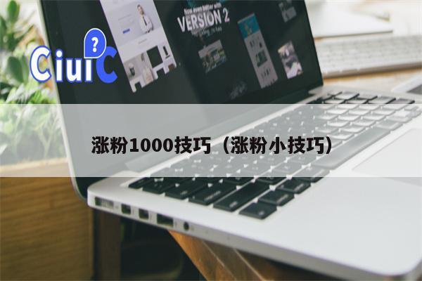 涨粉1000技巧（涨粉小技巧）