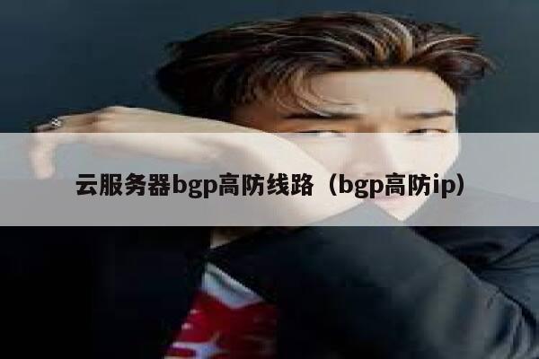 云服务器bgp高防线路（bgp高防ip）