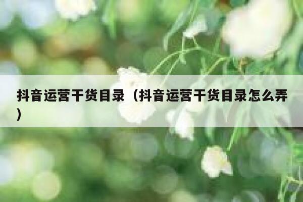 抖音运营干货目录（抖音运营干货目录怎么弄）