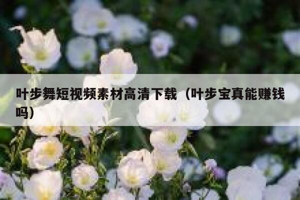 叶步舞短视频素材高清下载（叶步宝真能赚钱吗）