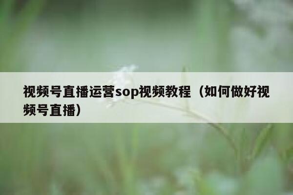 视频号直播运营sop视频教程（如何做好视频号直播）