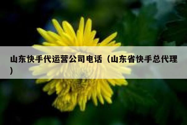 山东快手代运营公司电话（山东省快手总代理）