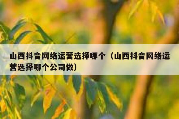 山西抖音网络运营选择哪个（山西抖音网络运营选择哪个公司做）